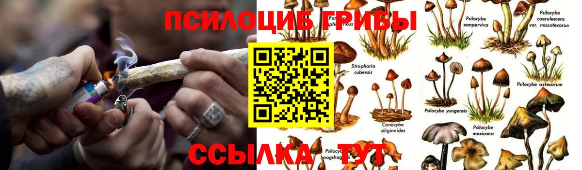 Галлюциногенные грибы Magic Shrooms  Вход с VPN  Бугульма 